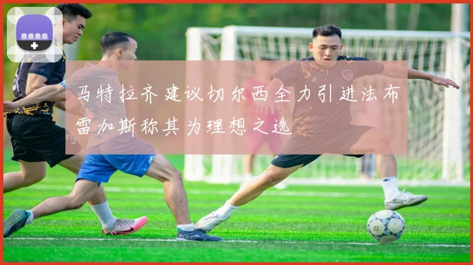 马特拉齐建议切尔西全力引进法布雷加斯称其为理想之选
